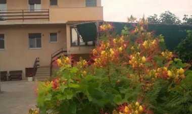 Apartman Ognjen Betina Horvátország