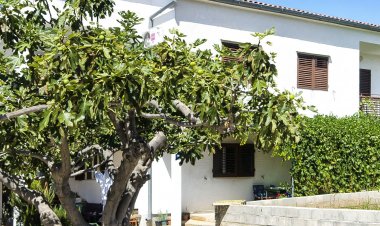 Apartments Smilja Tribunj Horvátország