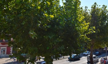 Apartment Goge Omis Horvátország