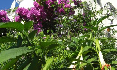 Apartments Branko Okrug Gornji Horvátország