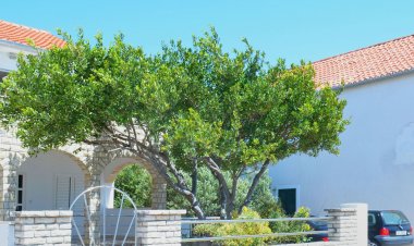 Apartment Danijela Primosten Horvátország