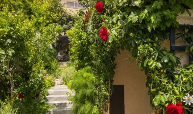 Apartmani Vesna i Toni Premantura Horvátország