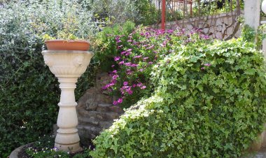 Apartments Miodrag Stupin Celine Horvátország