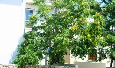 Apartment Sanja Krk Horvátország