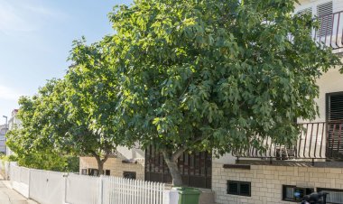 Apartments Matejka I Primosten Horvátország