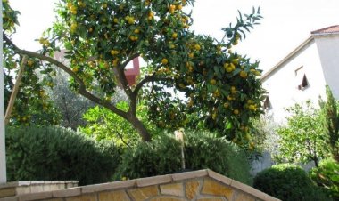 Apartmani Davorka Trogir Horvátország