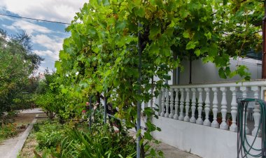 Apartment Ivica Banjol Horvátország