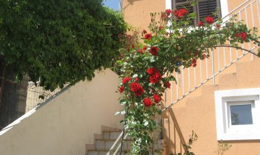 Apartman Luca Prvić Luka Horvátország