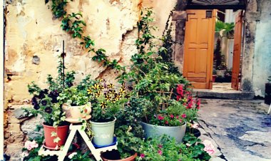 Apartman Flora Lovran Horvátország