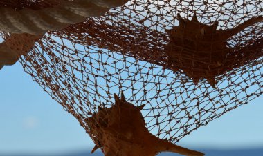 Apartments Bluesun Stanici Horvátország