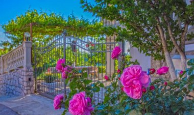 Apartmani Miletic Novi Vinodolski Horvátország