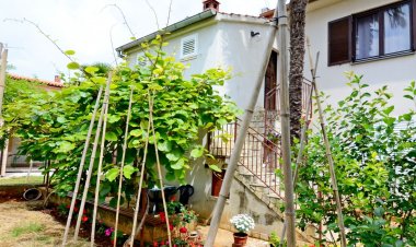 Apartment Dražen Valbandon Horvátország