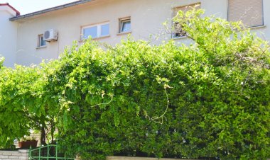 Apartman Emilija Pula Horvátország