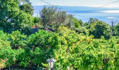 Apartments Mladen Jelica Icici Horvátország