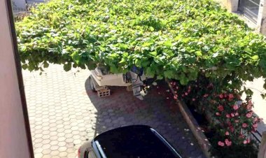 Apartments Antea Rogoznica Horvátország