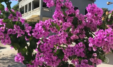 Apartmani Coloured Povlja Horvátország