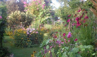 Apartmani Ivo Vir Horvátország