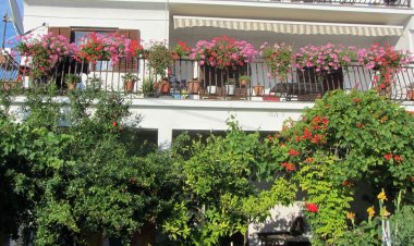 Apartments Grapevines Biograd Horvátország