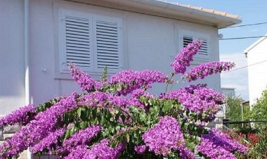 Apartman Slavica O Supetar Horvátország