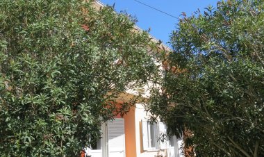 Apartment and Rooms Amenka Novalja Horvátország