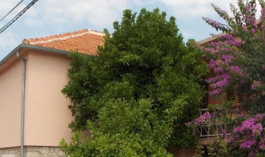 Sobe Miho Vrboska Horvátország