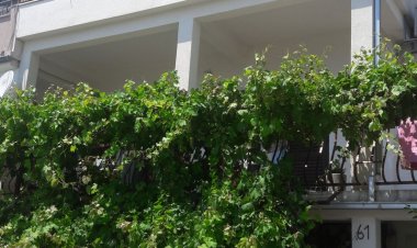 Godinić House Krvavica Horvátország