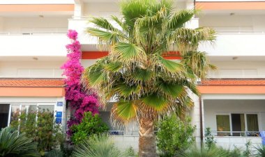 Apartments Aurel Rogoznica Horvátország