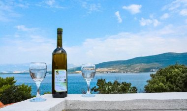 Apartmani Niko Donji Karin Horvátország