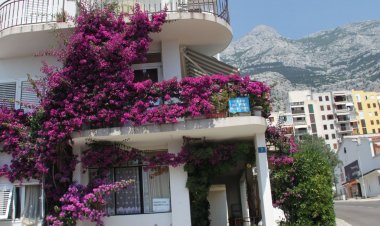 Apartments Centar Makarska Horvátország