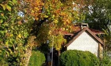 Apartman Cro Behar Zagreb Horvátország