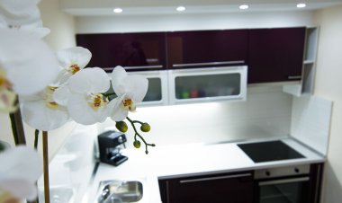 Apartment Songbird Biograd Horvátország