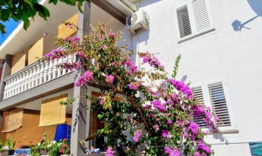 Apartment Daca Vir Horvátország