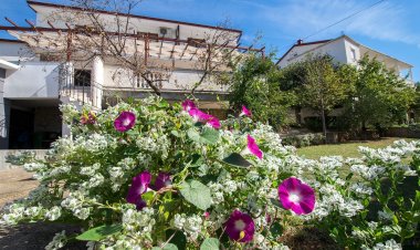 Apartments Šimić-with beautiful view Starigrad Paklenica Horvátország