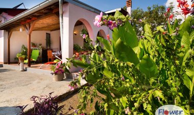 Apartment Flowers Sikici Horvátország