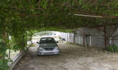 Apartments Vinčić Rogoznica Horvátország