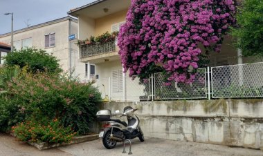 Rooms Mirjana Trogir Horvátország