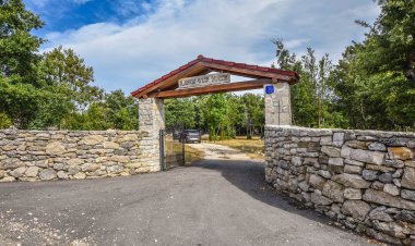 House Oak Tree Medviđa Horvátország