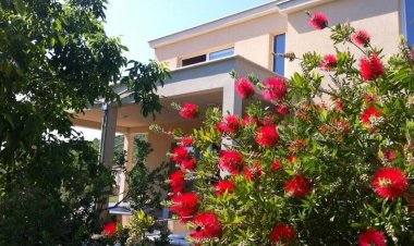 House San Antonio Korcula Horvátország