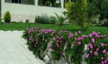 Apartman Zdene Banjol Horvátország