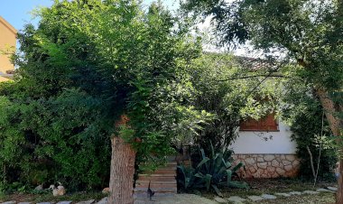 House LETICIJA rustica Novalja Horvátország