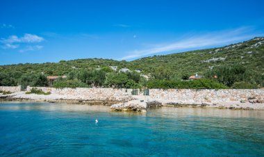 House Cucumber Tkon Horvátország