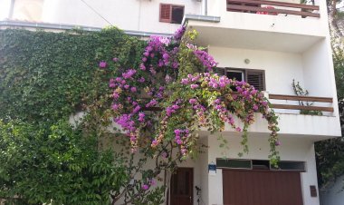 Apartman Zvone Sumpetar Horvátország