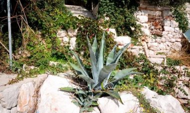 Apartments Ivan Prizba Horvátország