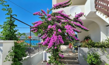 Apartman Ivica Arbanija Horvátország