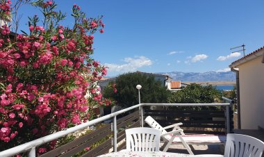 Apartman Žitna Uvala Vir Horvátország