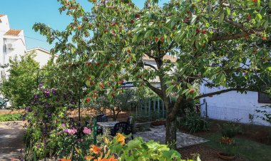 Apartmani Tea Zadar Horvátország