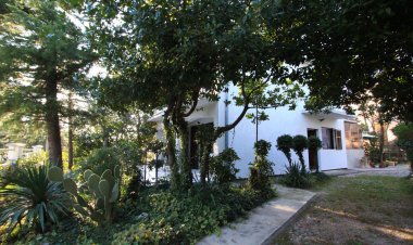 Apartman Kocay Jadranovo Horvátország