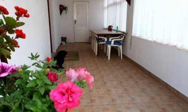 Obiteljski Apartman Zdenka Gornji Karin Horvátország