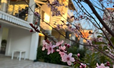 Apartman Ivana Vodice Horvátország