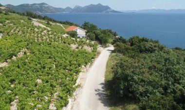 Robinson House Dingač Trstenik Horvátország